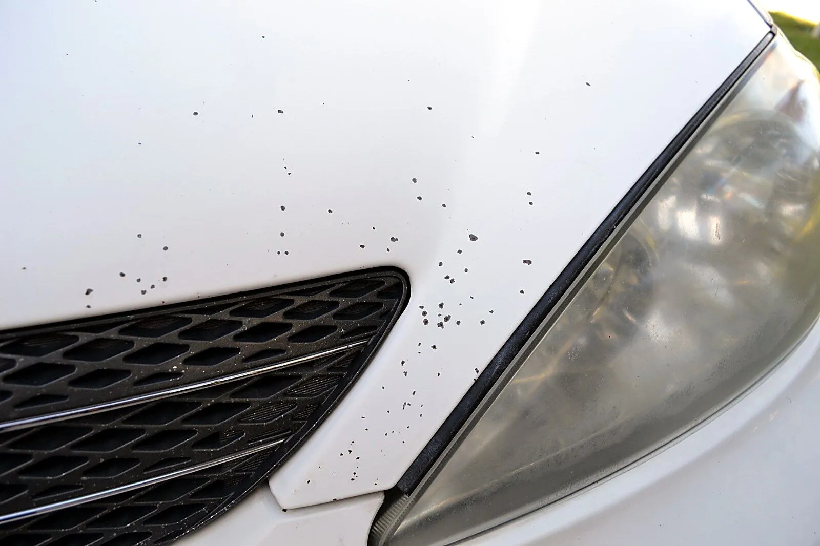 Before and after comparison of white Toyota hood repaired with Dr. ColorChip automotive paint chip repair kit, showing rock chips virtually eliminated.